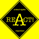 ReACT! e.V.